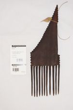 Comb